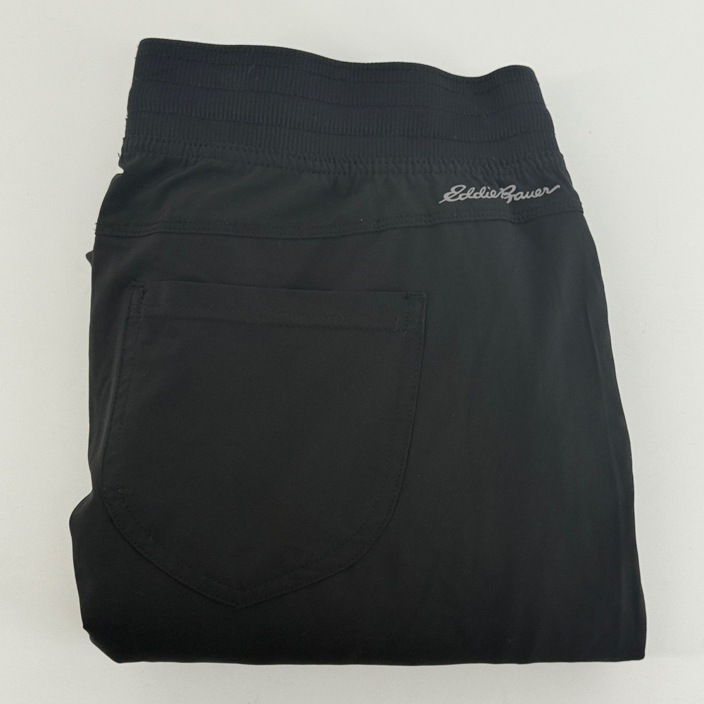Eddie Bauer Mens Black Fleece Lined Cargo Hiking Pants ELP0750T Large L